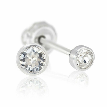 Inverness 17C Titanium Clear Crystal Bezel Earrings 4mm